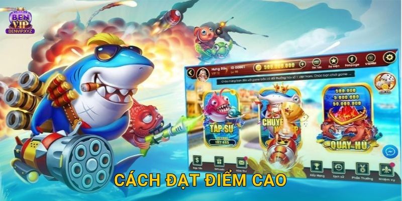 Cách đạt điểm cao
