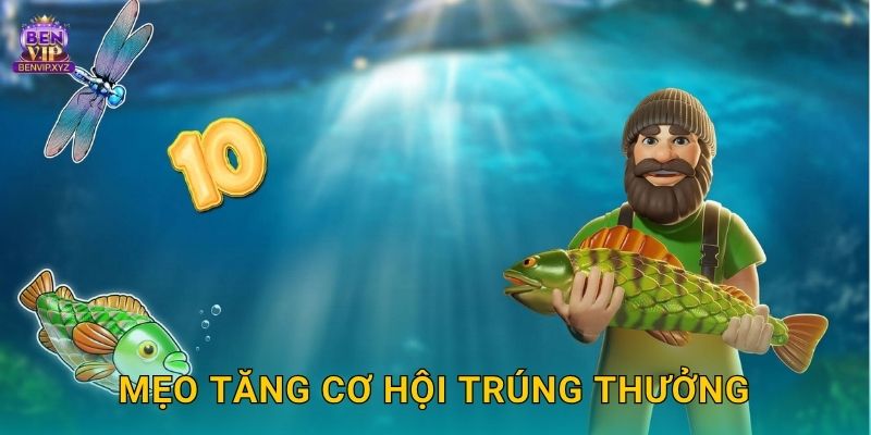 Mẹo tăng cơ hội trúng thưởng