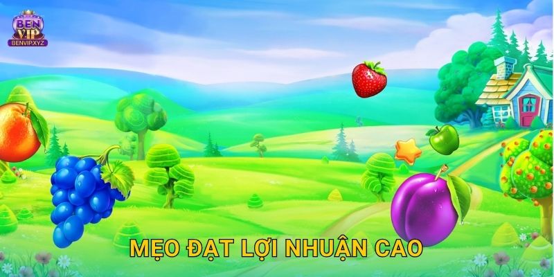 Mẹo đạt lợi nhuận cao
